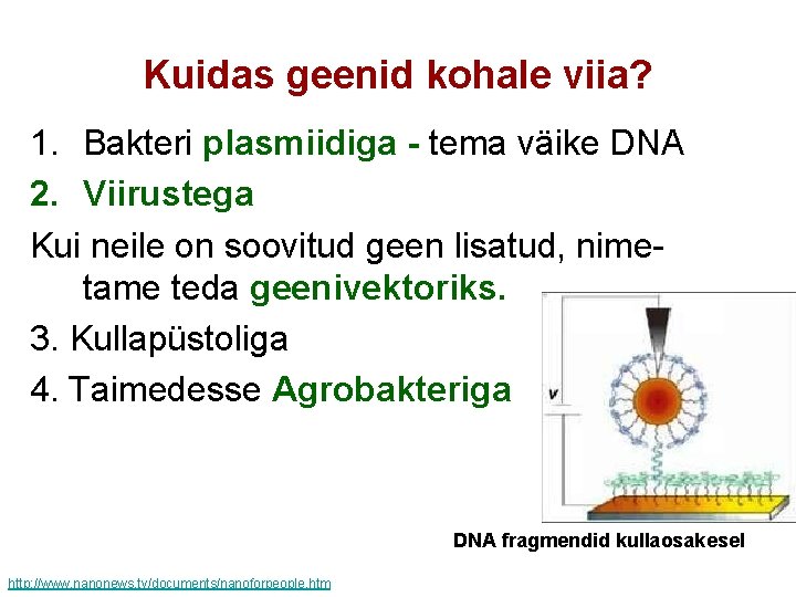 Kuidas geenid kohale viia? 1. Bakteri plasmiidiga - tema väike DNA 2. Viirustega Kui