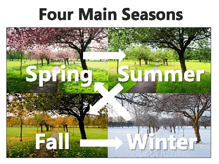 Four Main Seasons Spring Fall Summer Winter 