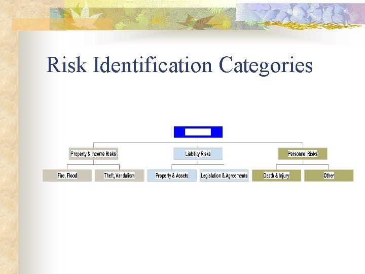 Risk Identification Categories 