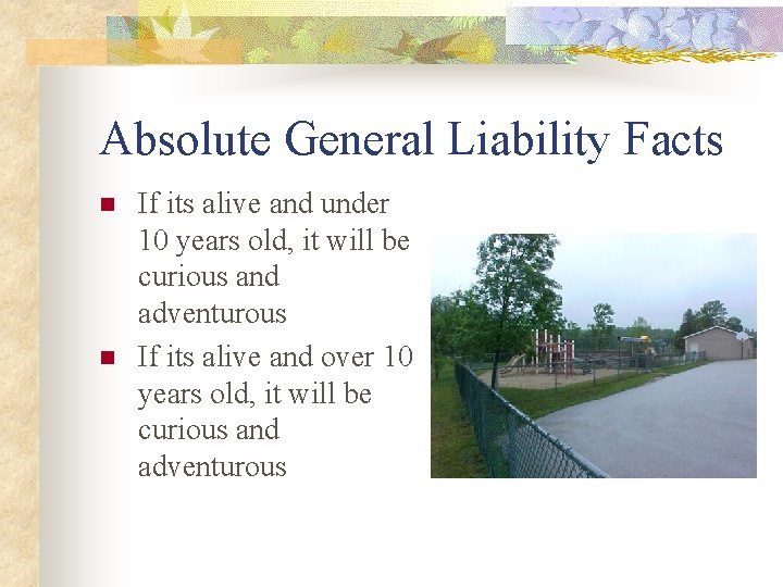 Absolute General Liability Facts n n If its alive and under 10 years old,