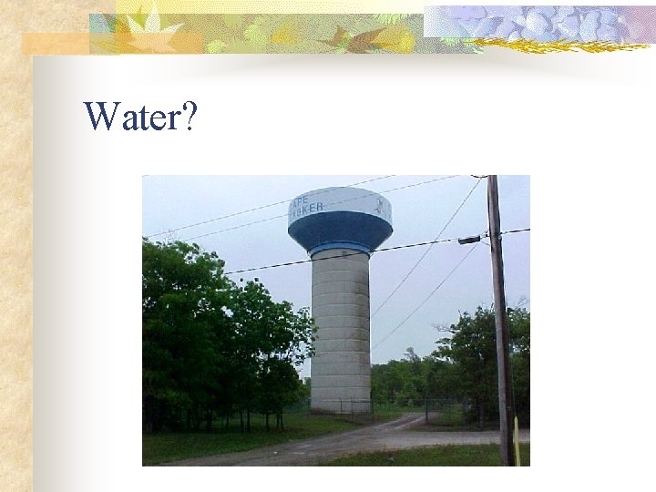 Water? 