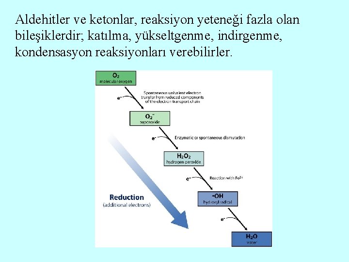 Aldehitler ve ketonlar, reaksiyon yeteneği fazla olan bileşiklerdir; katılma, yükseltgenme, indirgenme, kondensasyon reaksiyonları verebilirler.