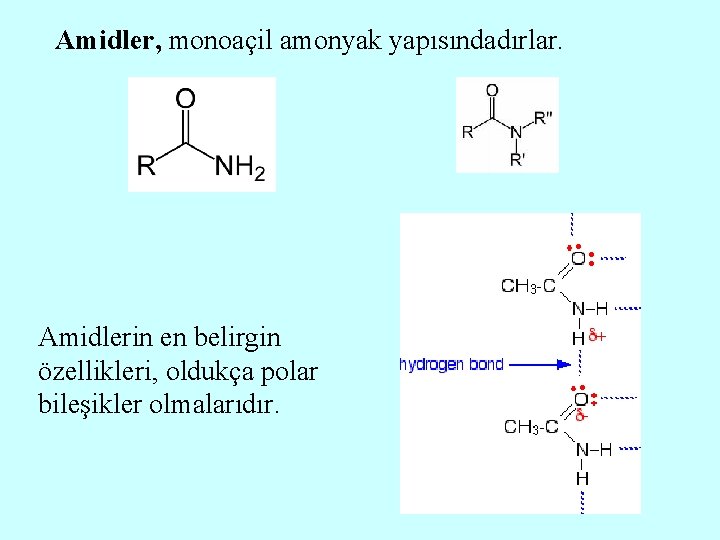 Amidler, monoaçil amonyak yapısındadırlar. Amidlerin en belirgin özellikleri, oldukça polar bileşikler olmalarıdır. 