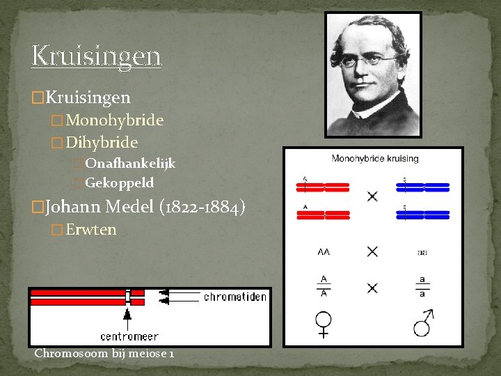 Kruisingen � Monohybride � Dihybride �Onafhankelijk �Gekoppeld �Johann Medel (1822 -1884) � Erwten Chromosoom