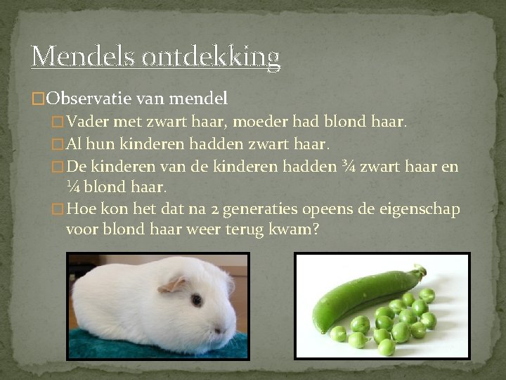 Mendels ontdekking �Observatie van mendel � Vader met zwart haar, moeder had blond haar.