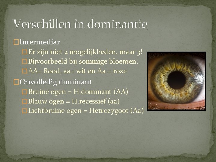 Verschillen in dominantie �Intermediar � Er zijn niet 2 mogelijkheden, maar 3! � Bijvoorbeeld