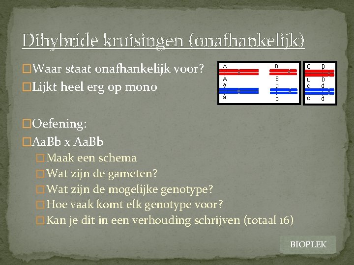 Dihybride kruisingen (onafhankelijk) �Waar staat onafhankelijk voor? �Lijkt heel erg op mono �Oefening: �Aa.