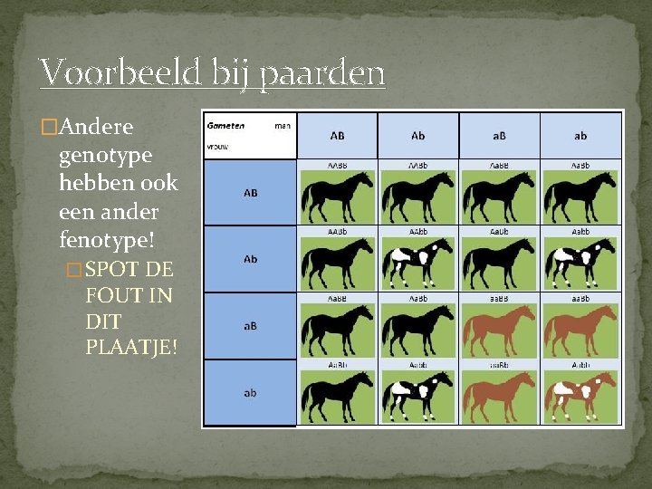 Voorbeeld bij paarden �Andere genotype hebben ook een ander fenotype! � SPOT DE FOUT