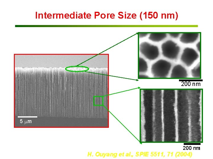 Intermediate Pore Size (150 nm) 200 nm 5 mm ~150 nm diameter ~200 nm