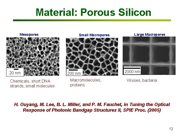Material: Porous Silicon Mesopores 20 nm Chemicals, short DNA strands, small molecules Small Macropores