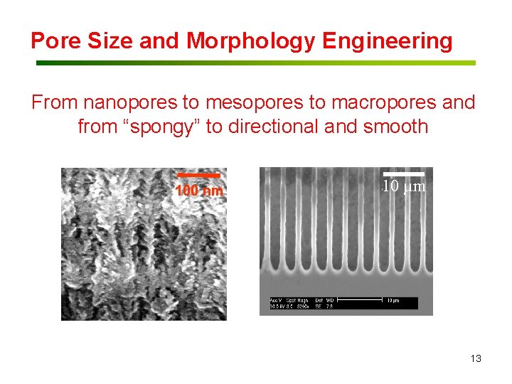 Pore Size and Morphology Engineering From nanopores to mesopores to macropores and from “spongy”