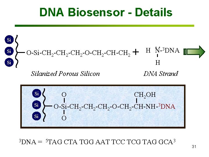DNA Biosensor - Details Si Si Si O O-Si-CH 2 -CH 2 -O-CH 2