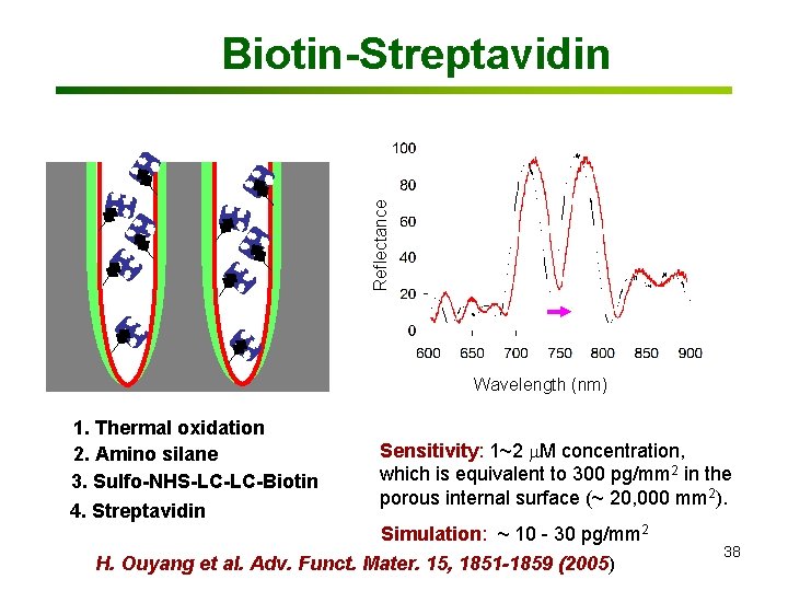 Reflectance Red shift (nm) Biotin-Streptavidin Wavelength (nm)(mg/ml) Biotin concentration 1. Thermal oxidation 2. Amino
