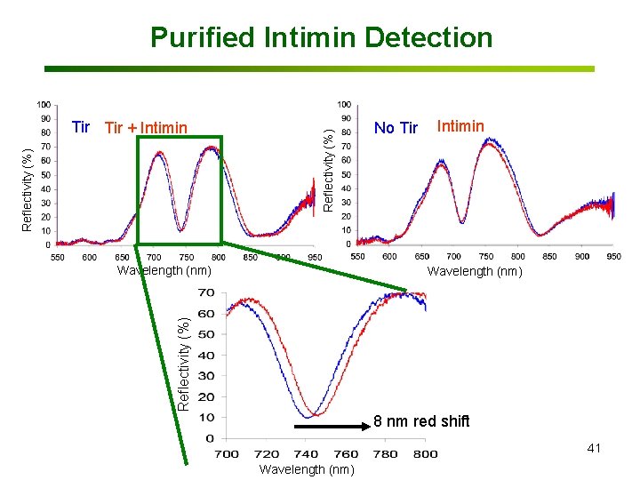 Reflectivity (%) Tir + Intimin Reflectivity (%) Purified Intimin Detection Wavelength (nm) No Tir