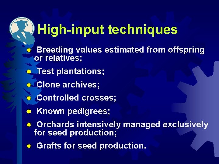 High-input techniques ® Breeding values estimated from offspring or relatives; ® Test plantations; ®