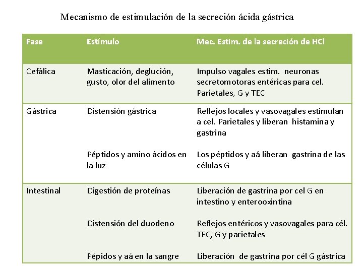 Mecanismo de estimulación de la secreción ácida gástrica Fase Estímulo Mec. Estim. de la