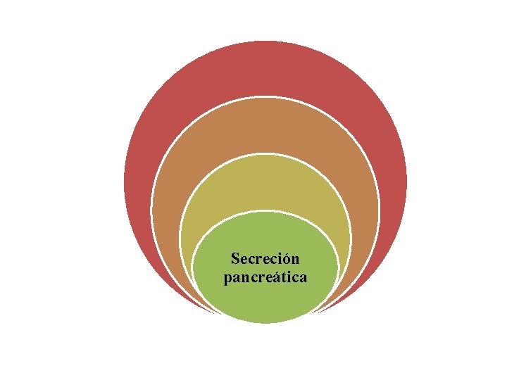 Secreción pancreática 