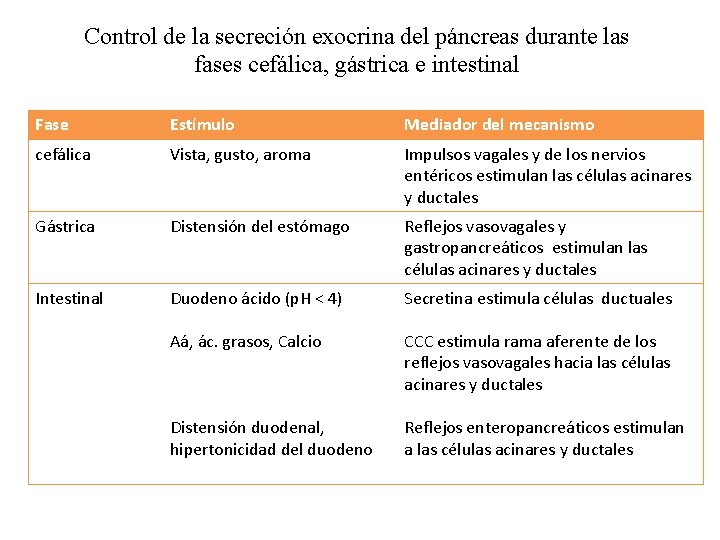 Control de la secreción exocrina del páncreas durante las fases cefálica, gástrica e intestinal