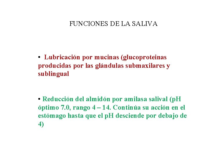 FUNCIONES DE LA SALIVA • Lubricación por mucinas (glucoproteinas producidas por las glándulas submaxilares