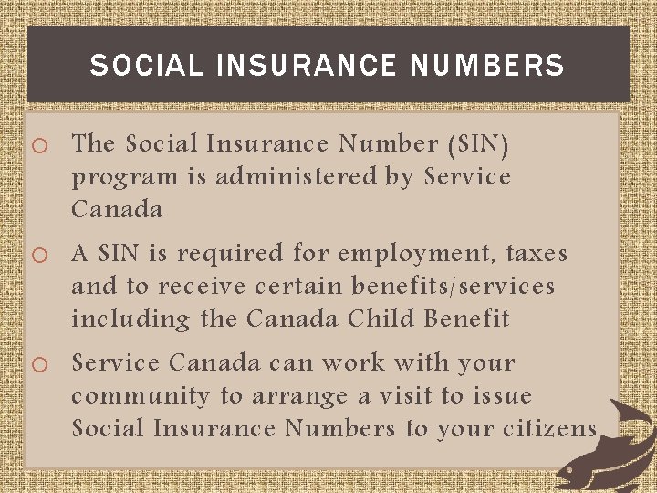 SOCIAL INSURANCE NUMBERS The Social Insurance Number (SIN) program is administered by Service Canada