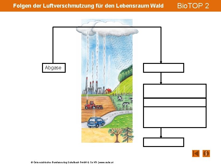 Folgen der Luftverschmutzung für den Lebensraum Wald Abgase © Österreichischer Bundesverlag Schulbuch Gmb. H