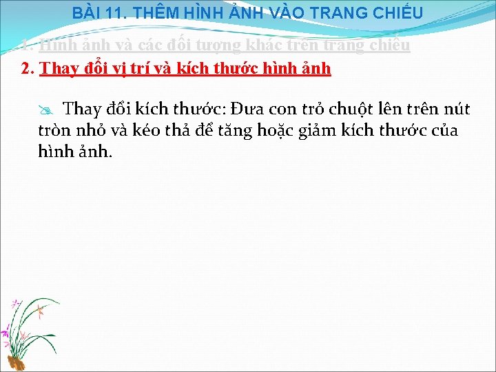 BÀI 11. THÊM HÌNH ẢNH VÀO TRANG CHIẾU 1. Hình ảnh và các đối