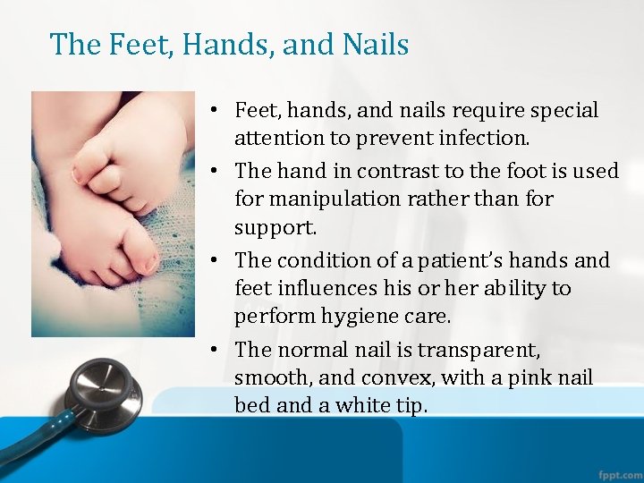 The Feet, Hands, and Nails • Feet, hands, and nails require special attention to