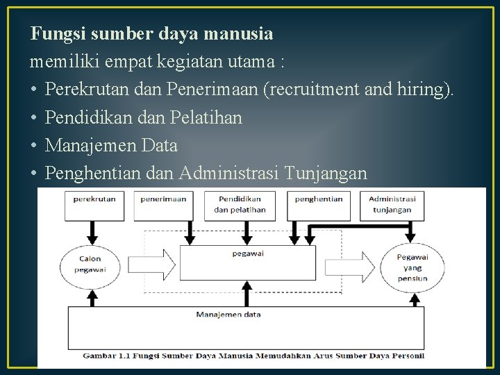 Fungsi sumber daya manusia memiliki empat kegiatan utama : • Perekrutan dan Penerimaan (recruitment