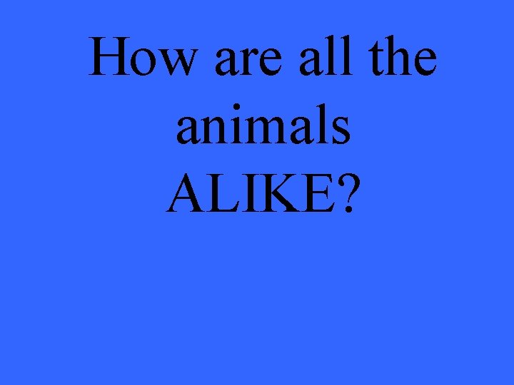 How are all the animals ALIKE? 