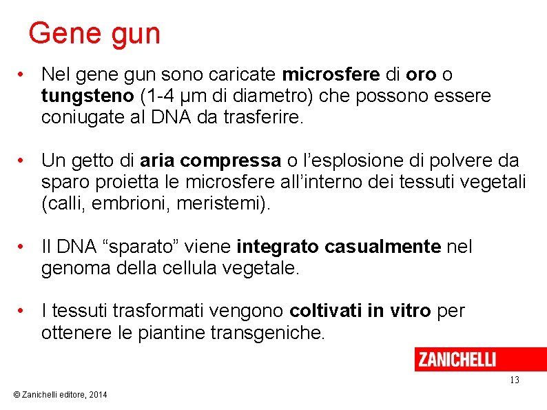 Gene gun • Nel gene gun sono caricate microsfere di oro o tungsteno (1