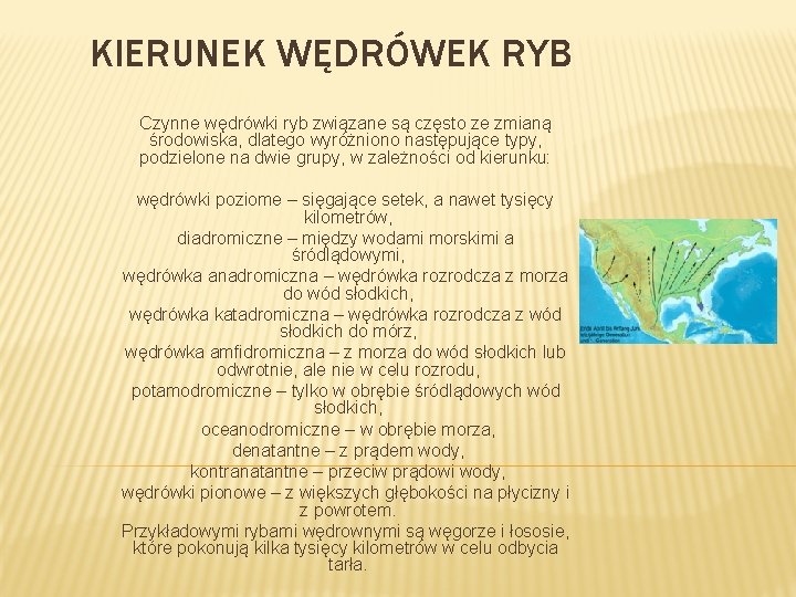 KIERUNEK WĘDRÓWEK RYB Czynne wędrówki ryb związane są często ze zmianą środowiska, dlatego wyróżniono