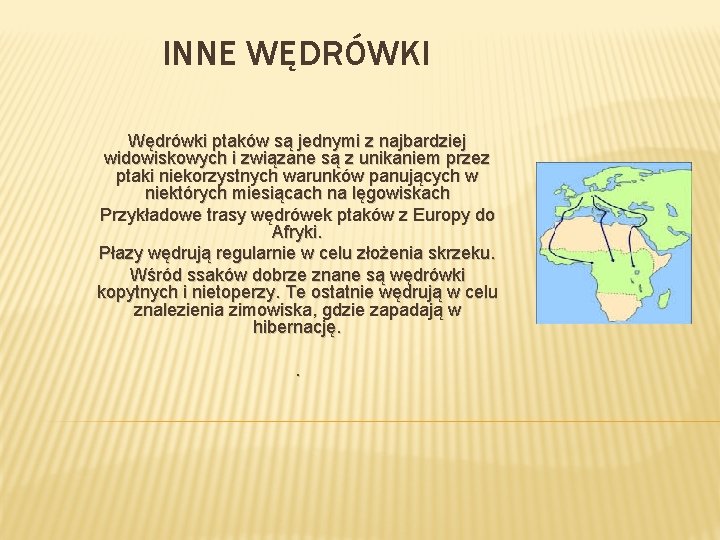 INNE WĘDRÓWKI Wędrówki ptaków są jednymi z najbardziej widowiskowych i związane są z unikaniem