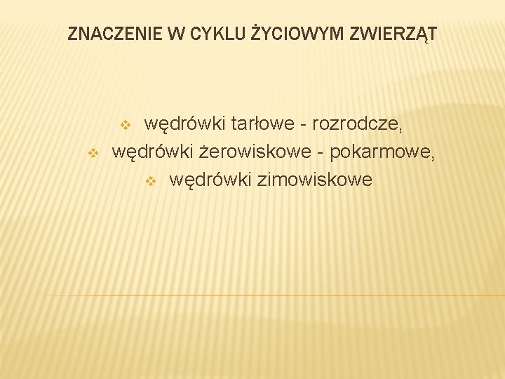 ZNACZENIE W CYKLU ŻYCIOWYM ZWIERZĄT wędrówki tarłowe - rozrodcze, wędrówki żerowiskowe - pokarmowe, v