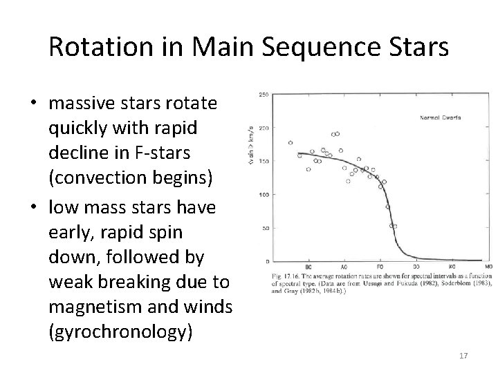 Rotation in Main Sequence Stars • massive stars rotate quickly with rapid decline in