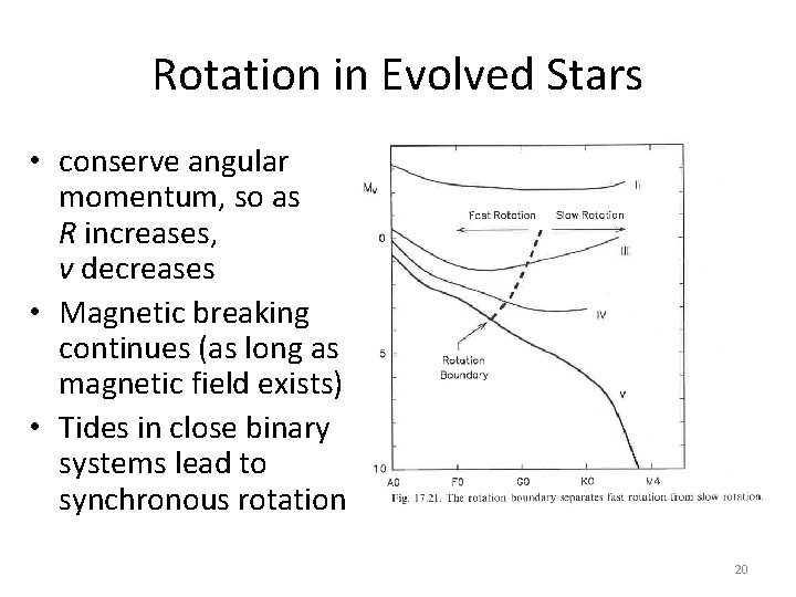 Rotation in Evolved Stars • conserve angular momentum, so as R increases, v decreases