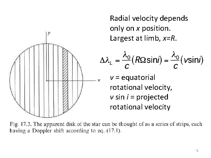Radial velocity depends only on x position. Largest at limb, x=R. v = equatorial