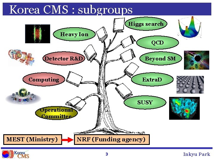 Korea CMS : subgroups Higgs search Heavy Ion QCD Detector R&D Beyond SM Computing