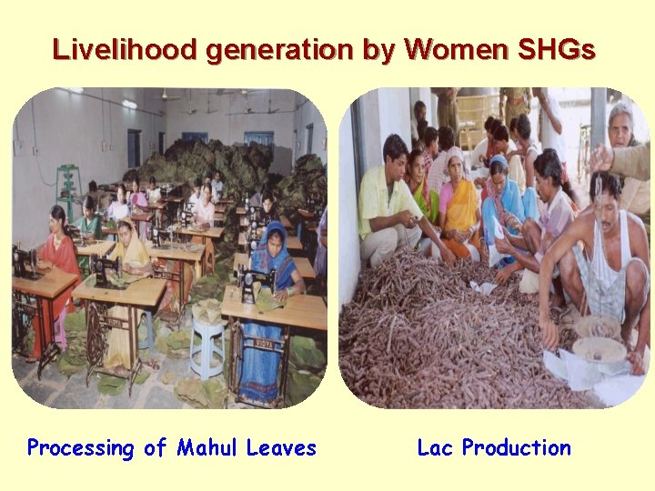 Livelihood generation by Women SHGs Processing of Mahul Leaves Lac Production 