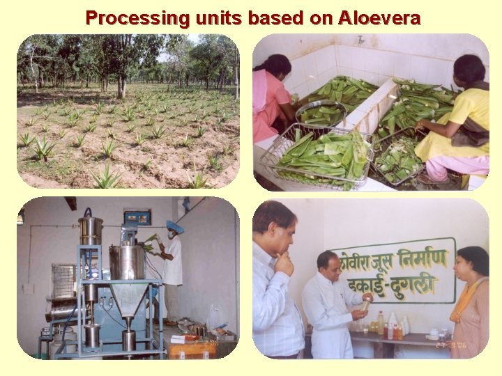 Processing units based on Aloevera 