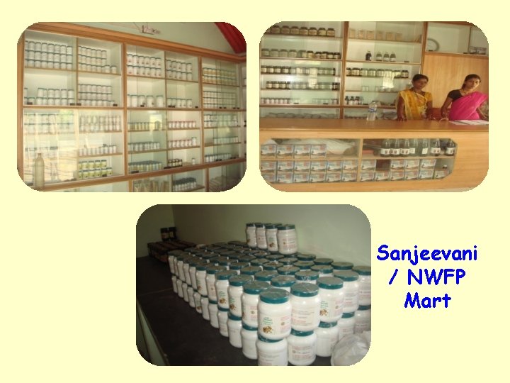 Sanjeevani / NWFP Mart 