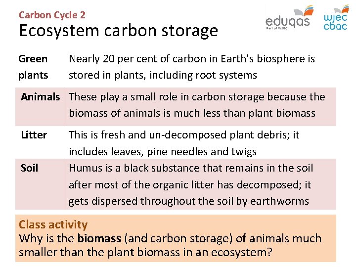 CARBON CYCLE 2 biome storage Biomass Litter Soil