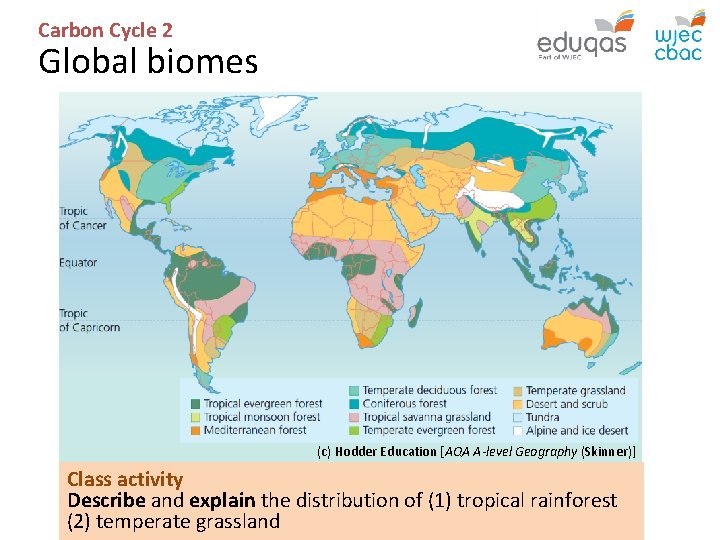 CARBON CYCLE 2 biome storage Biomass Litter Soil