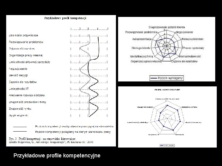 Przykładowe profile kompetencyjne. 