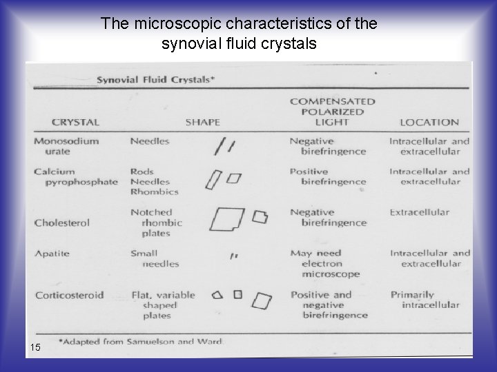 The microscopic characteristics of the synovial fluid crystals 15 