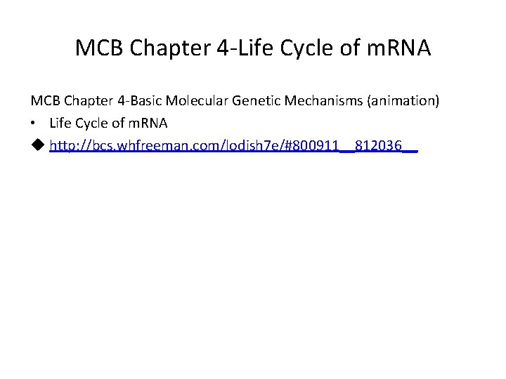 MCB Chapter 4 -Life Cycle of m. RNA MCB Chapter 4 -Basic Molecular Genetic