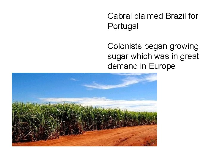 Cabral claimed Brazil for Portugal Colonists began growing sugar which was in great demand