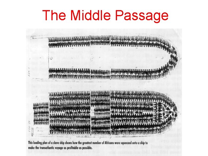The Middle Passage 