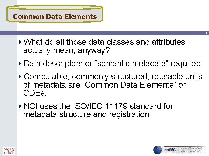 Common Data Elements 18 4 What do all those data classes and attributes actually