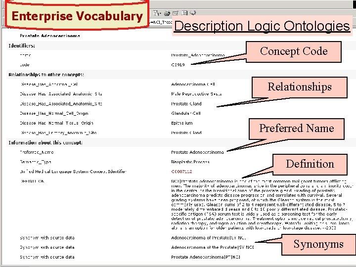 Enterprise Vocabulary Description Logic Ontologies Concept Code Relationships Preferred Name Definition Synonyms 22 