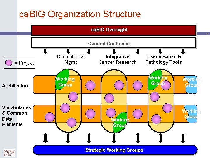 ca. BIG Organization Structure ca. BIG Oversight 7 General Contractor = Project Architecture Vocabularies